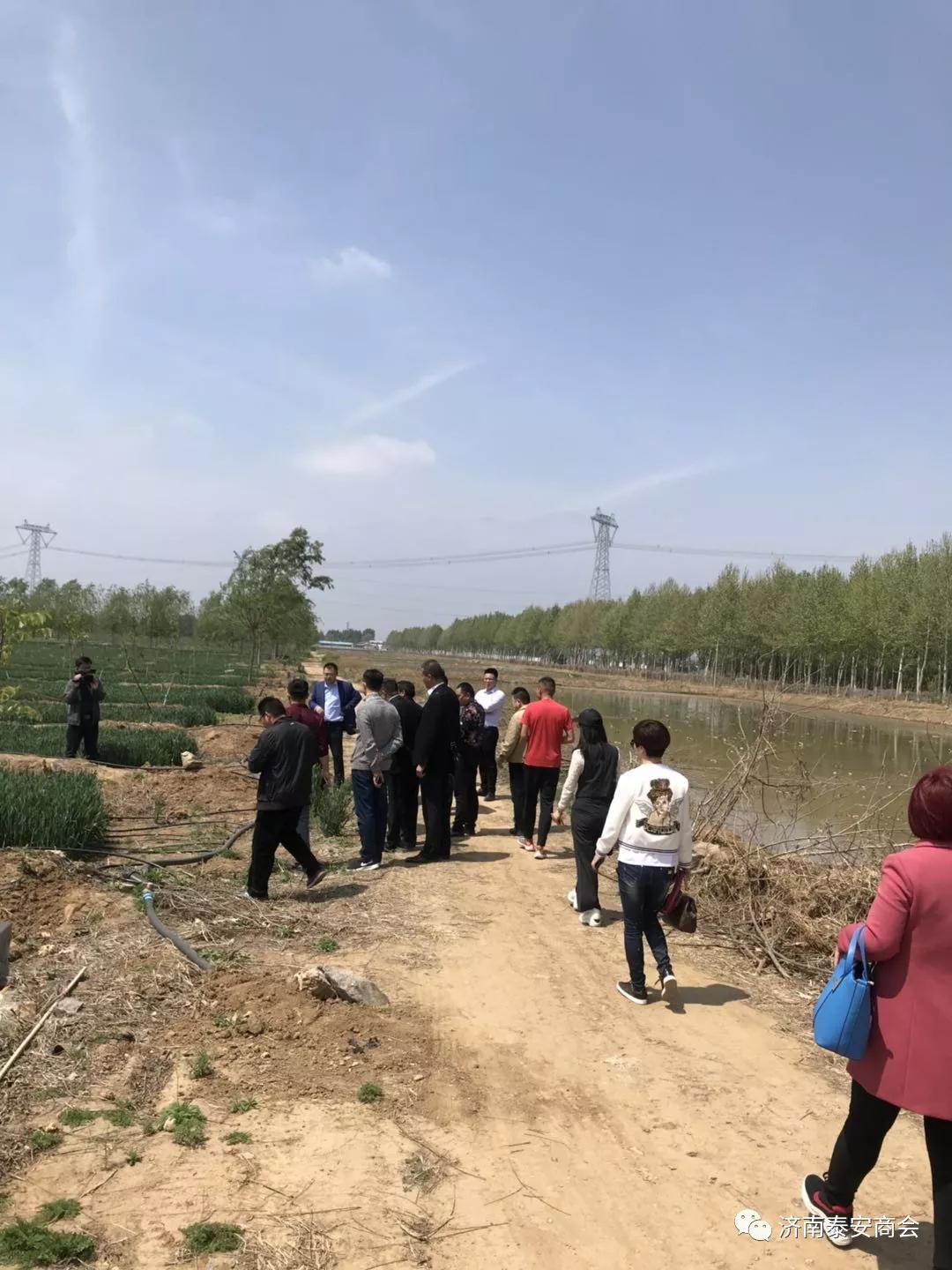 网站建设优化 网站建设优化