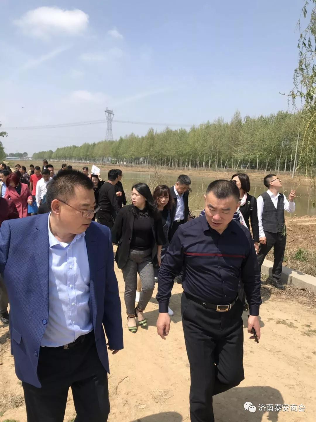 网站建设优化 网站建设优化