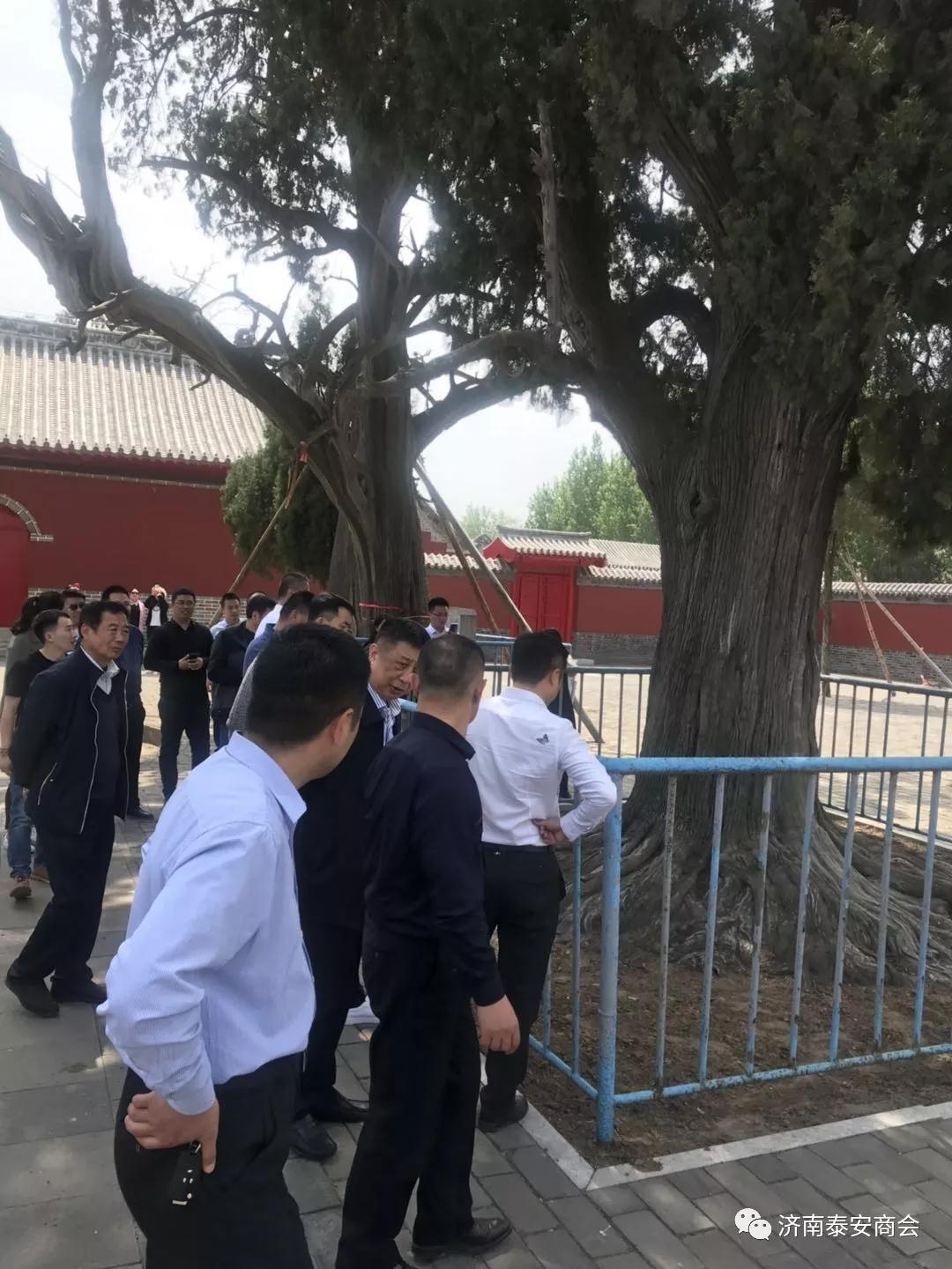 网站建设优化 网站建设优化