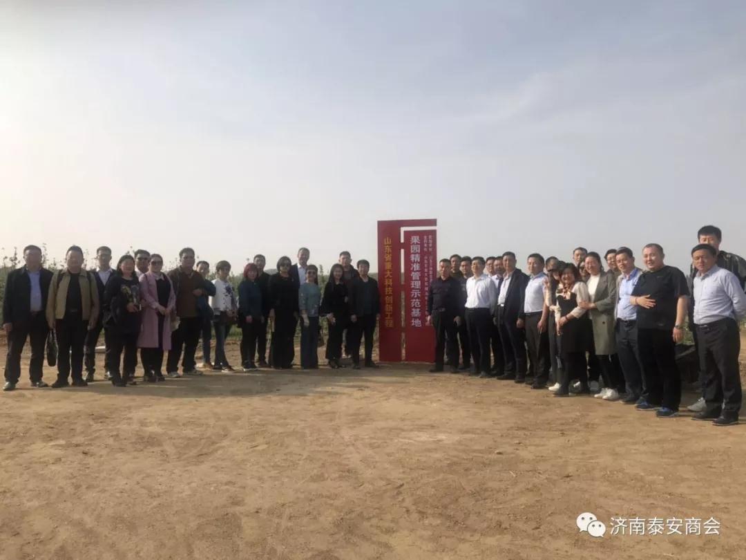 网站建设优化 网站建设优化