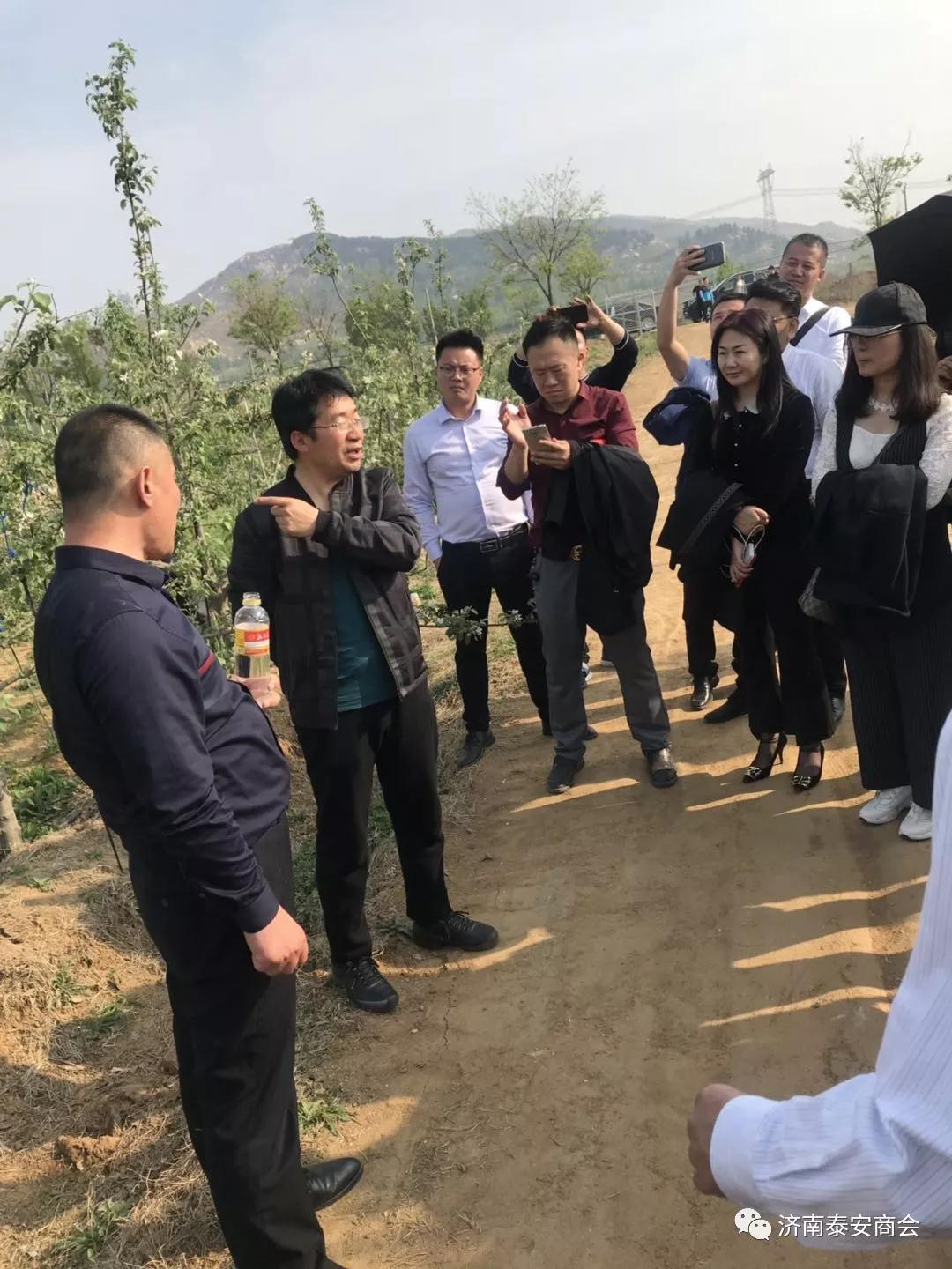 网站建设优化 网站建设优化